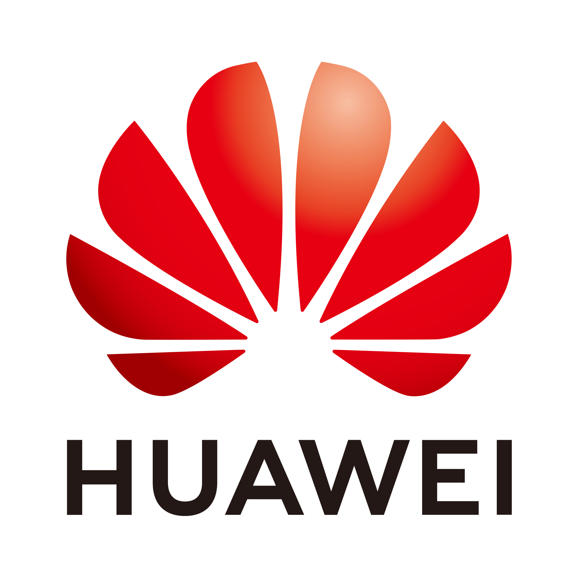 HUAWEI HUAWEI